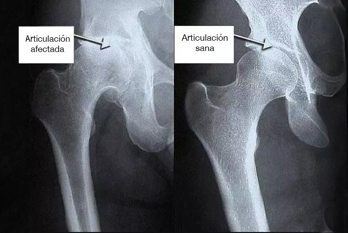 Image Title Alt Image