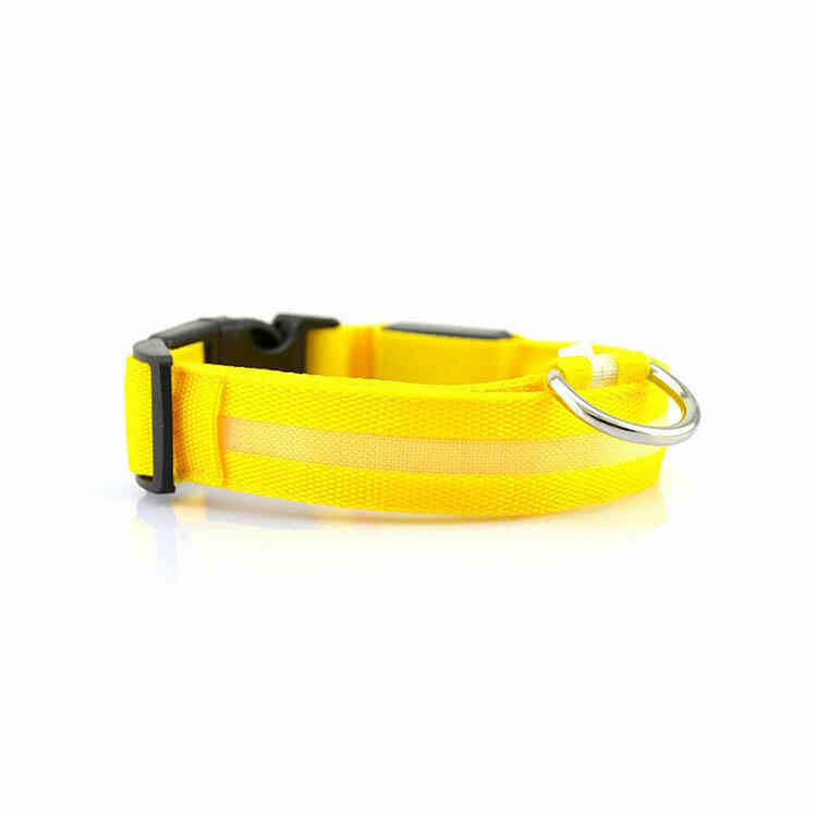Collar con Iluminación LED para Mascotas | Collar de Seguridad Anti Perdida