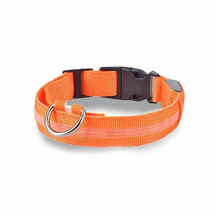 Collar con Iluminación LED para Mascotas | Collar de Seguridad Anti Perdida