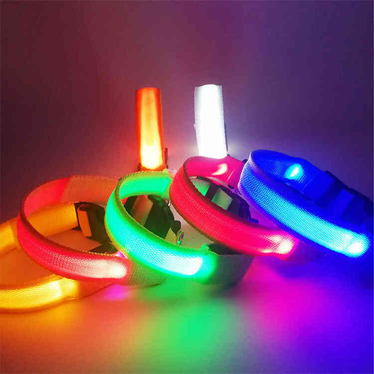 Collar con Iluminación LED para Mascotas | Collar de Seguridad Anti Perdida