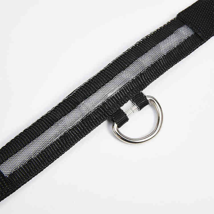 Collar con Iluminación LED para Mascotas | Collar de Seguridad Anti Perdida