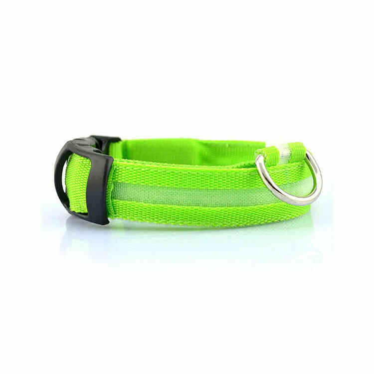Collar con Iluminación LED para Mascotas | Collar de Seguridad Anti Perdida