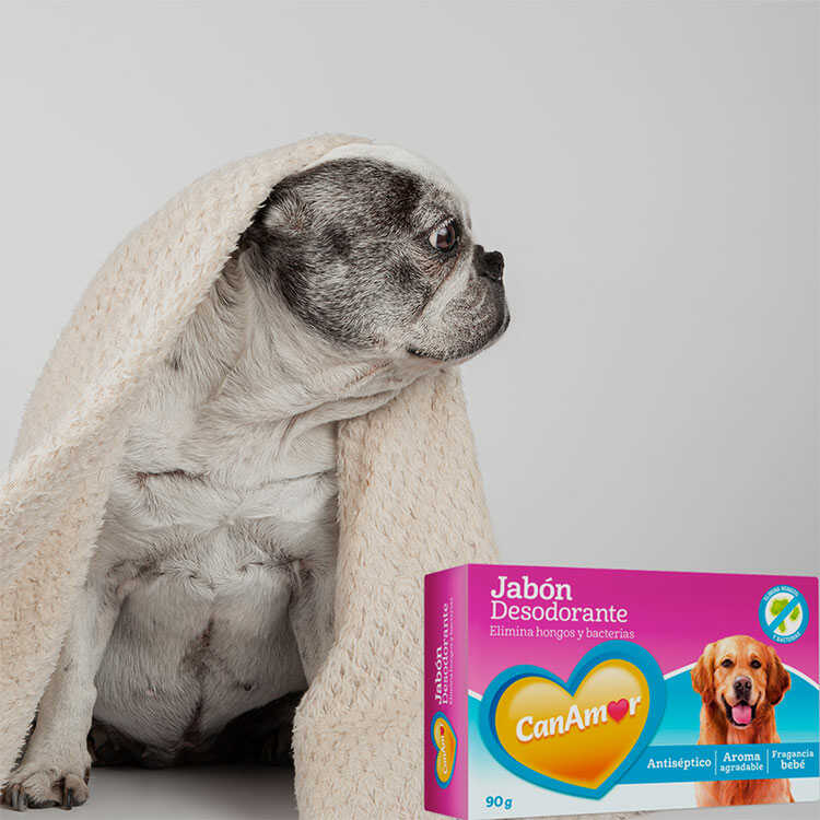 Jabón Desodorante Mascotas Canamor