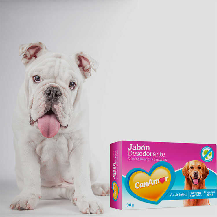 Jabón Desodorante Mascotas Canamor
