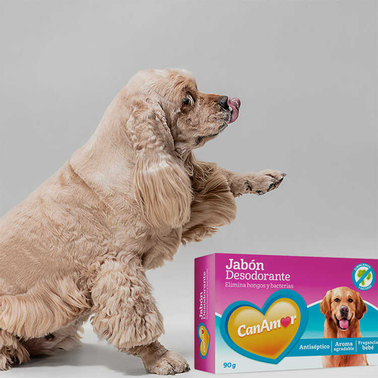 Jabón Desodorante Mascotas Canamor